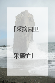 采摘园里采摘忙