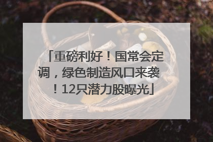 重磅利好！国常会定调，绿色制造风口来袭！12只潜力股曝光