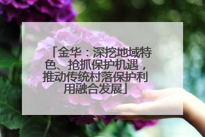 金华：深挖地域特色、抢抓保护机遇，推动传统村落保护利用融合发展