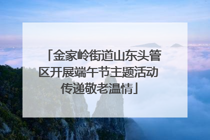 金家岭街道山东头管区开展端午节主题活动 传递敬老温情