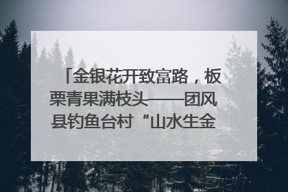 金银花开致富路，板栗青果满枝头——团风县钓鱼台村“山水生金”谱写共富新篇章