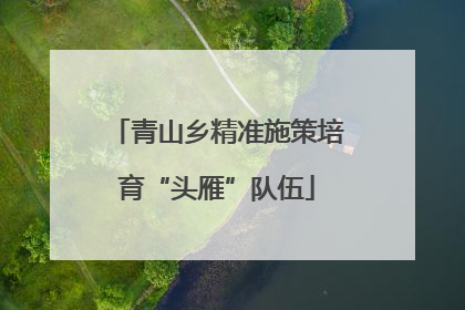青山乡精准施策培育“头雁”队伍