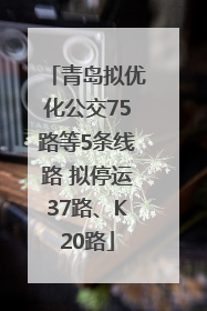 青岛拟优化公交75路等5条线路 拟停运37路、K20路