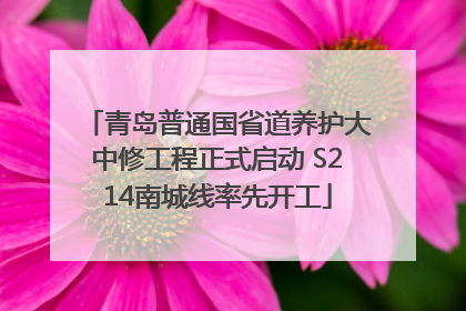 青岛普通国省道养护大中修工程正式启动 S214南城线率先开工