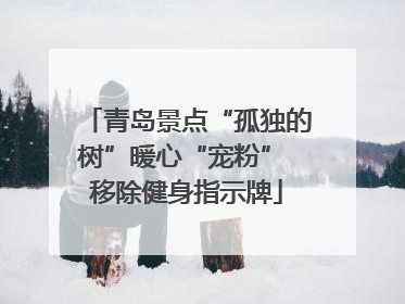 青岛景点“孤独的树”暖心“宠粉” 移除健身指示牌
