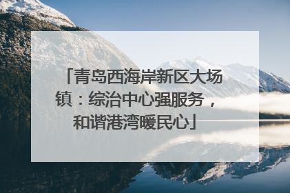 青岛西海岸新区大场镇：综治中心强服务，和谐港湾暖民心