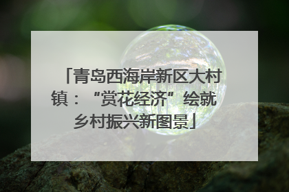 青岛西海岸新区大村镇：“赏花经济”绘就乡村振兴新图景