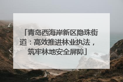 青岛西海岸新区隐珠街道：高效推进林业执法，筑牢林地安全屏障