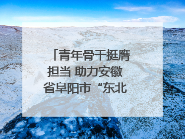 青年骨干挺膺担当 助力安徽省阜阳市“东北大外环”建设