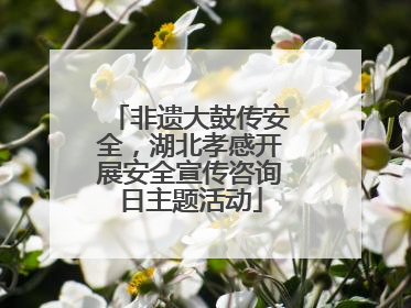 非遗大鼓传安全，湖北孝感开展安全宣传咨询日主题活动