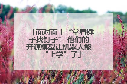 面对面丨“拿着锤子找钉子” 他们的开源模型让机器人能“上学”了