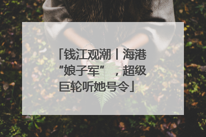 钱江观潮丨海港“娘子军”，超级巨轮听她号令