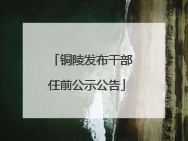 铜陵发布干部任前公示公告