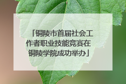 铜陵市首届社会工作者职业技能竞赛在铜陵学院成功举办