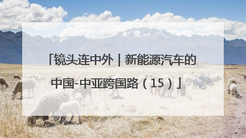 镜头连中外｜新能源汽车的中国-中亚跨国路（15）
