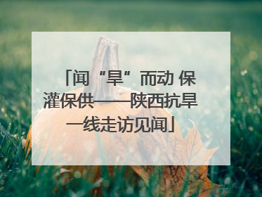 闻“旱”而动 保灌保供——陕西抗旱一线走访见闻