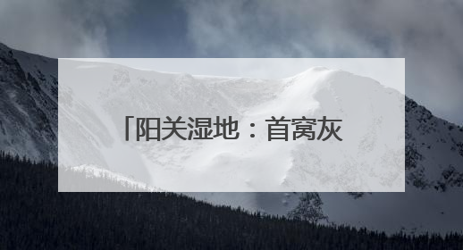 阳关湿地：首窝灰雁“宝宝”出窝了