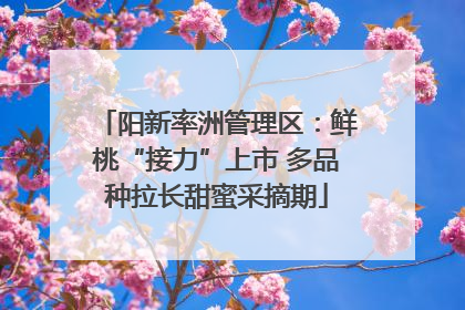 阳新率洲管理区：鲜桃“接力”上市 多品种拉长甜蜜采摘期