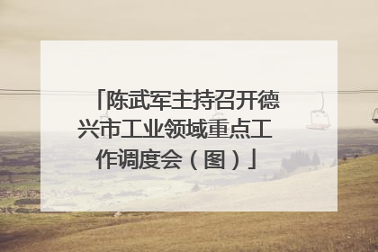 陈武军主持召开德兴市工业领域重点工作调度会（图）