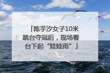 陈芋汐女子10米跳台夺冠后，现场看台下起“娃娃雨”