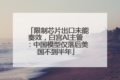 限制芯片出口未能奏效，白宫AI主管：中国模型仅落后美国不到半年