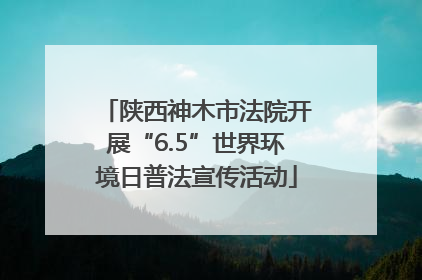 陕西神木市法院开展“6.5”世界环境日普法宣传活动