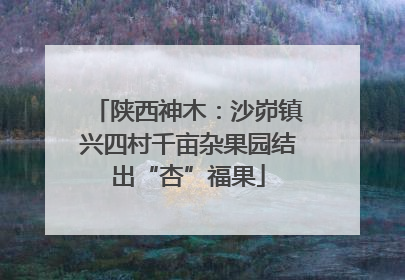 陕西神木：沙峁镇兴四村千亩杂果园结出“杏”福果