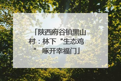 陕西府谷镇黑山村：林下“生态鸡” 啄开幸福门