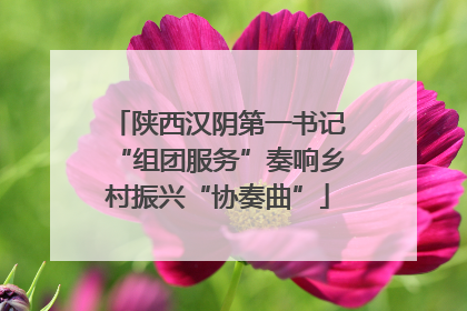 陕西汉阴第一书记“组团服务”奏响乡村振兴“协奏曲”