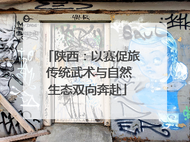 陕西：以赛促旅 传统武术与自然生态双向奔赴