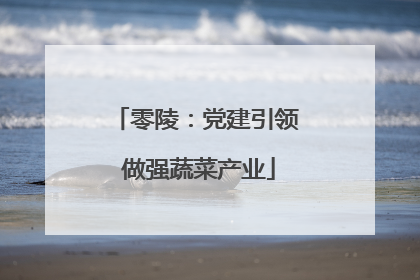 零陵：党建引领 做强蔬菜产业