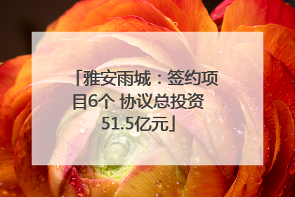 雅安雨城：签约项目6个 协议总投资51.5亿元
