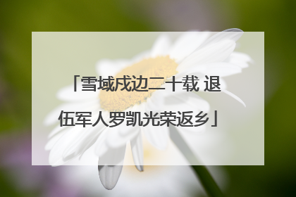 雪域戍边二十载 退伍军人罗凯光荣返乡