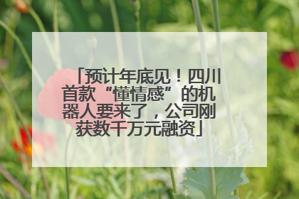 预计年底见！四川首款“懂情感”的机器人要来了，公司刚获数千万元融资