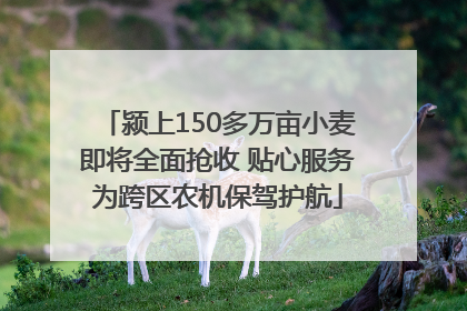 颍上150多万亩小麦即将全面抢收 贴心服务为跨区农机保驾护航