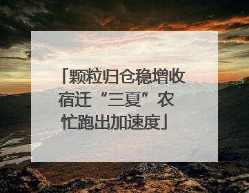 颗粒归仓稳增收 宿迁“三夏”农忙跑出加速度