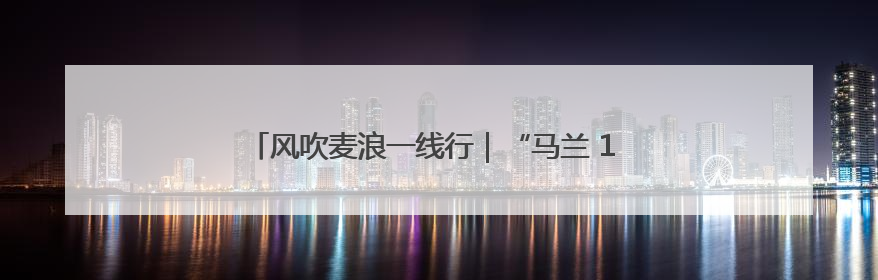 风吹麦浪一线行｜“马兰 1 号”：少浇一次水 多产一成粮