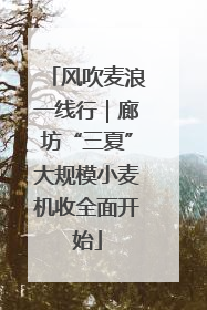风吹麦浪一线行｜廊坊“三夏”大规模小麦机收全面开始