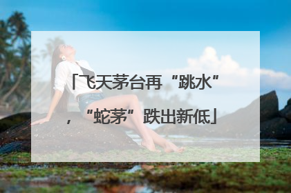 飞天茅台再“跳水”，“蛇茅”跌出新低