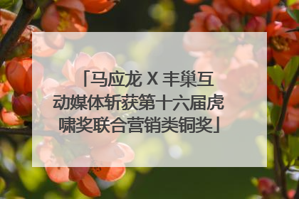 马应龙 X 丰巢互动媒体斩获第十六届虎啸奖联合营销类铜奖