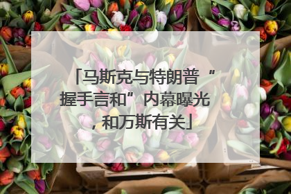马斯克与特朗普“握手言和”内幕曝光，和万斯有关
