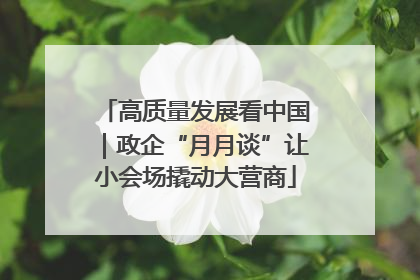 高质量发展看中国｜政企“月月谈”让小会场撬动大营商