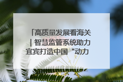 高质量发展看海关｜智慧监管系统助力宜宾打造中国“动力电池之都”