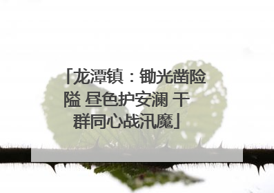 龙潭镇：锄光凿险隘 昼色护安澜 干群同心战汛魔