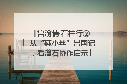 鲁渝情·石柱行② ︳从“莼小丝”出国记，看淄石协作启示