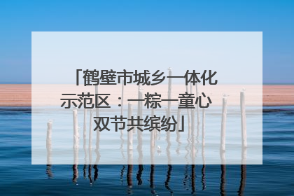 鹤壁市城乡一体化示范区：一粽一童心 双节共缤纷