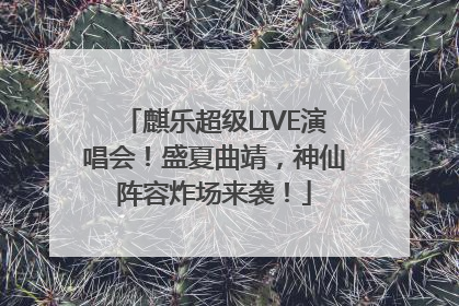 麒乐超级LIVE演唱会！盛夏曲靖，神仙阵容炸场来袭！
