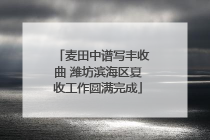 麦田中谱写丰收曲 潍坊滨海区夏收工作圆满完成