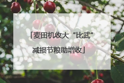 麦田机收大“比武” 减损节粮助增收