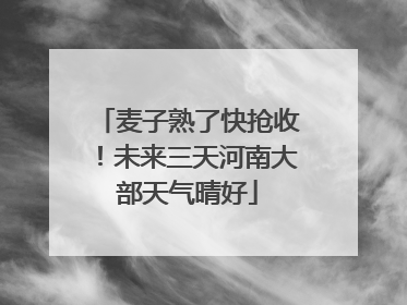 麦子熟了快抢收！未来三天河南大部天气晴好